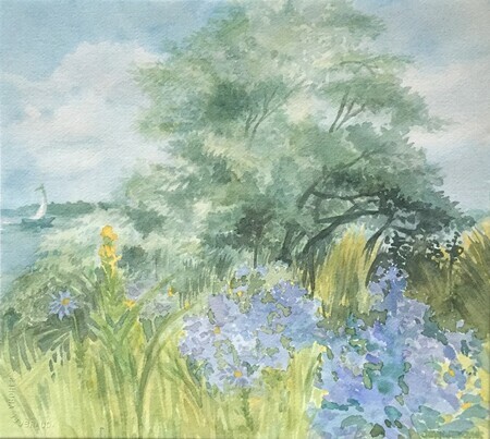 Blue Meadow Ashbridges Bay